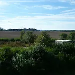 Fuchs Und Elster Hohenkirchen (Nordwestmecklenburg)