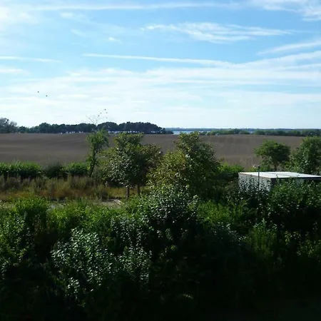 Fuchs Und Elster Hohenkirchen (Nordwestmecklenburg)